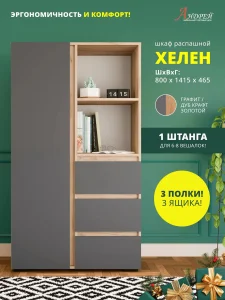 Распашной шкаф 2-х створчатый Хелен ШК 03 для одежды дуб золотой крафт/графит фото